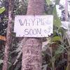 100633 - WiFi LOL